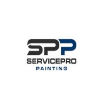 servicepropainti