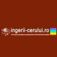 ingeriicerului